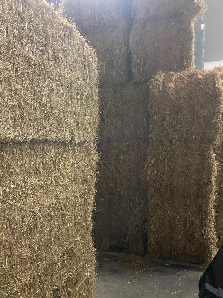 Weide hooi van duitsland 80/90 120/70, Dieren en Toebehoren, Dierenvoeding, Overige soorten, Ophalen of Verzenden