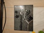 Schilderij, Antiek en Kunst, Ophalen of Verzenden