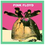 CD PINK FLOYD - Groen is de kleur (Live in Amsterdam 17.09), Cd's en Dvd's, Verzenden, Zo goed als nieuw, Poprock