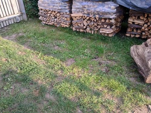 Brandhout  populier en conifeer, Tuin en Terras, Brandhout, Blokken, Overige houtsoorten, 6 m³ of meer, Ophalen