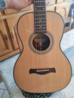 Guitare Richwood p40 master série neuve, Musique & Instruments, Enlèvement, Comme neuf