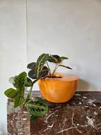 Retro bloempot / cachepot, Huis en Inrichting, Woonaccessoires | Vazen, Ophalen, Aardewerk of Porselein, Oranje, Zo goed als nieuw