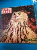 Vinyl 45trs - la vie des bêtes- oiseaux de montagne, CD & DVD, Vinyles Singles, Enlèvement ou Envoi