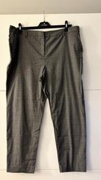 Punto Roma grijze geruite broek, Vêtements | Femmes, Grandes tailles, Gris, Enlèvement ou Envoi, Punto Roma, Comme neuf