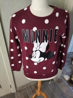 Disney Mickey Mouse trui, Kleding | Dames, Ophalen of Verzenden, Gedragen