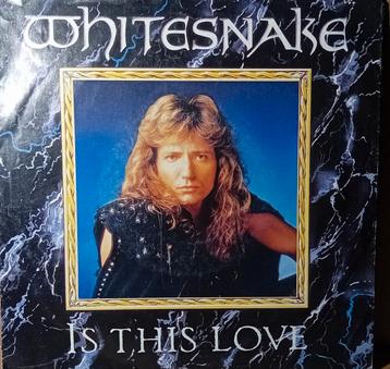45 T whitesnake ●zie beschrijving●  beschikbaar voor biedingen