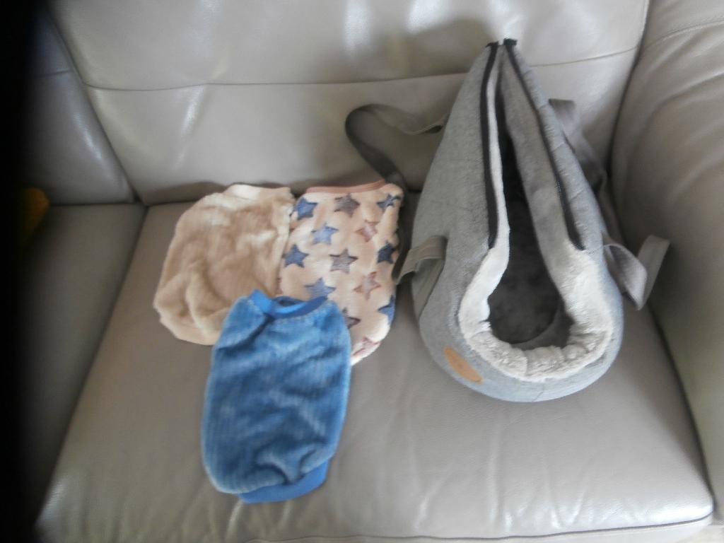 Sac de transport pour petit chien ( Chihuahua... ), Enlèvement ou Envoi, Comme neuf