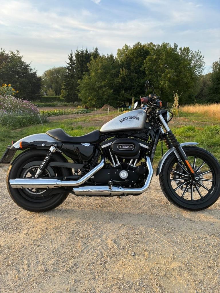 Harley Davidson iron 883, 2015, 35 kW