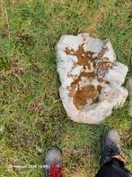 Waterval, Tuin en Terras, Ophalen