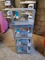 Cage d'élevage oiseaux, Enlèvement, Cage d'élevage