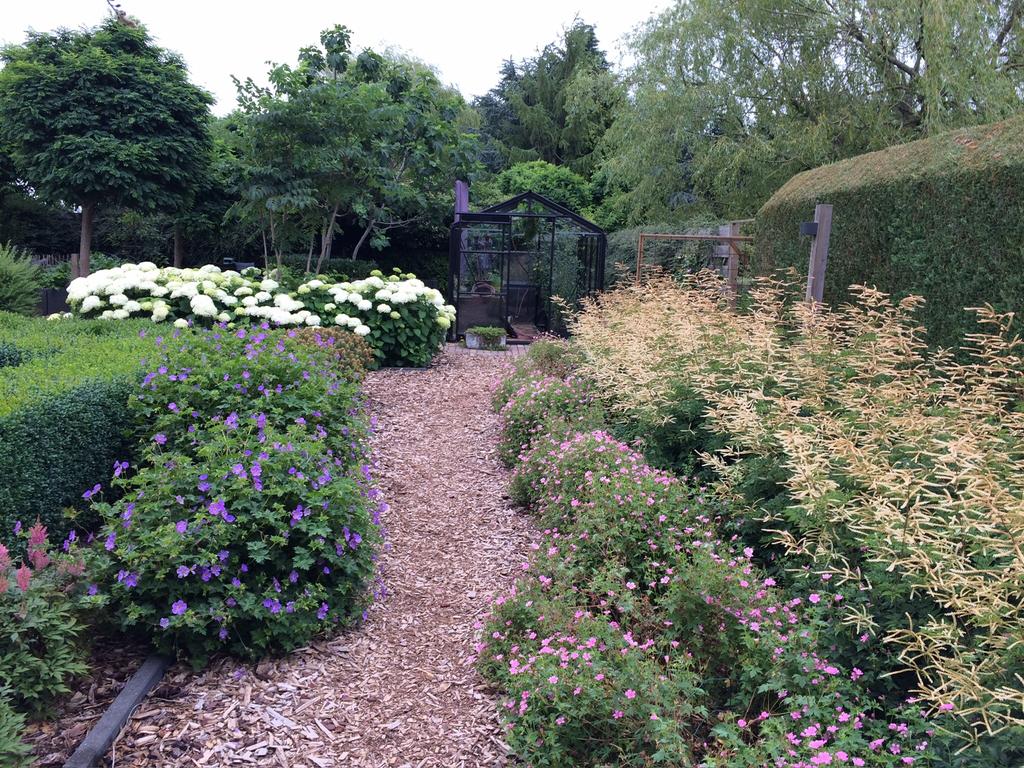 Aruncus Horatio, Tuin en Terras, Ophalen, Vaste plant