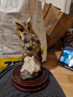 Uil, Ophalen, Zo goed als nieuw, Dier