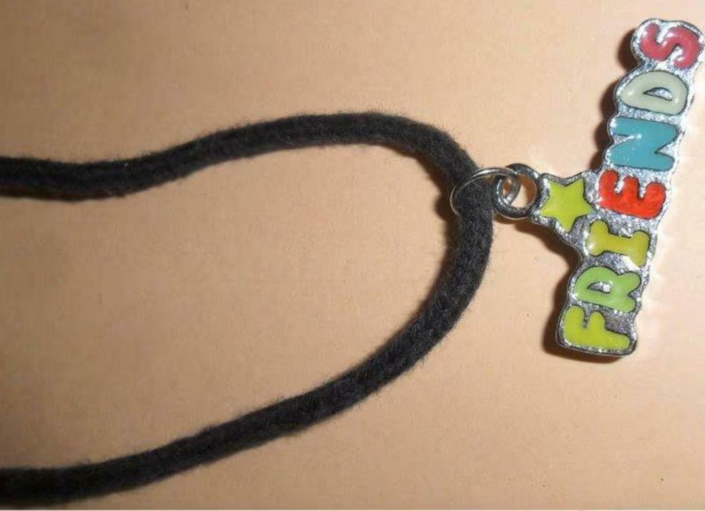 Friends halsketting vrienden hanger, Ophalen of Verzenden