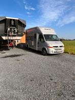 Renault Master Durisotti Paardencamionette, Argent ou Gris, Achat, Bleu, 2 portes