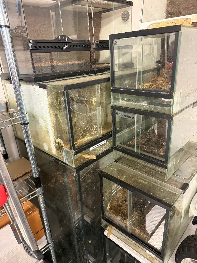 Terrarium - Diverse terraria Rana en Exo Terra, Dieren en Toebehoren, Ophalen, Gebruikt, Terrarium of Paludarium