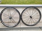 Campagnolo Shamal Alu, Rim Brake, Shimano 11V, Enlèvement, Utilisé, Vélo de course, Campagnolo