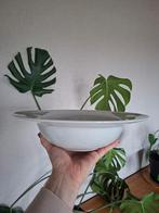 Pastaborden diep, Ophalen, Zo goed als nieuw, Bord(en), Effen