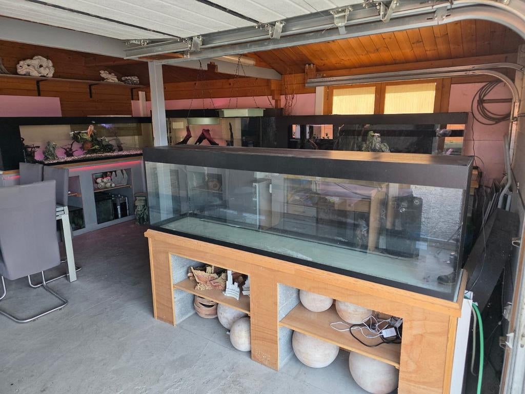 Aquarium à vendre, Animaux & Accessoires, Enlèvement