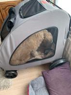 Poussette VEVOR, Enlèvement, Comme neuf