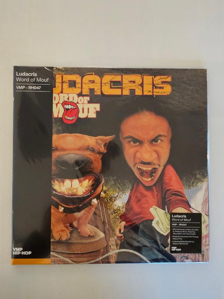 Ludacris - Word of Mouf - vinyl, Cd's en Dvd's, Vinyl | Hiphop en Rap, Nieuw in verpakking, 12 inch, Ophalen of Verzenden