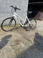 Nette Norta LRC Damesfiets – Sportieve Hybri Topstaat, Ophalen, Zo goed als nieuw, Overige merken