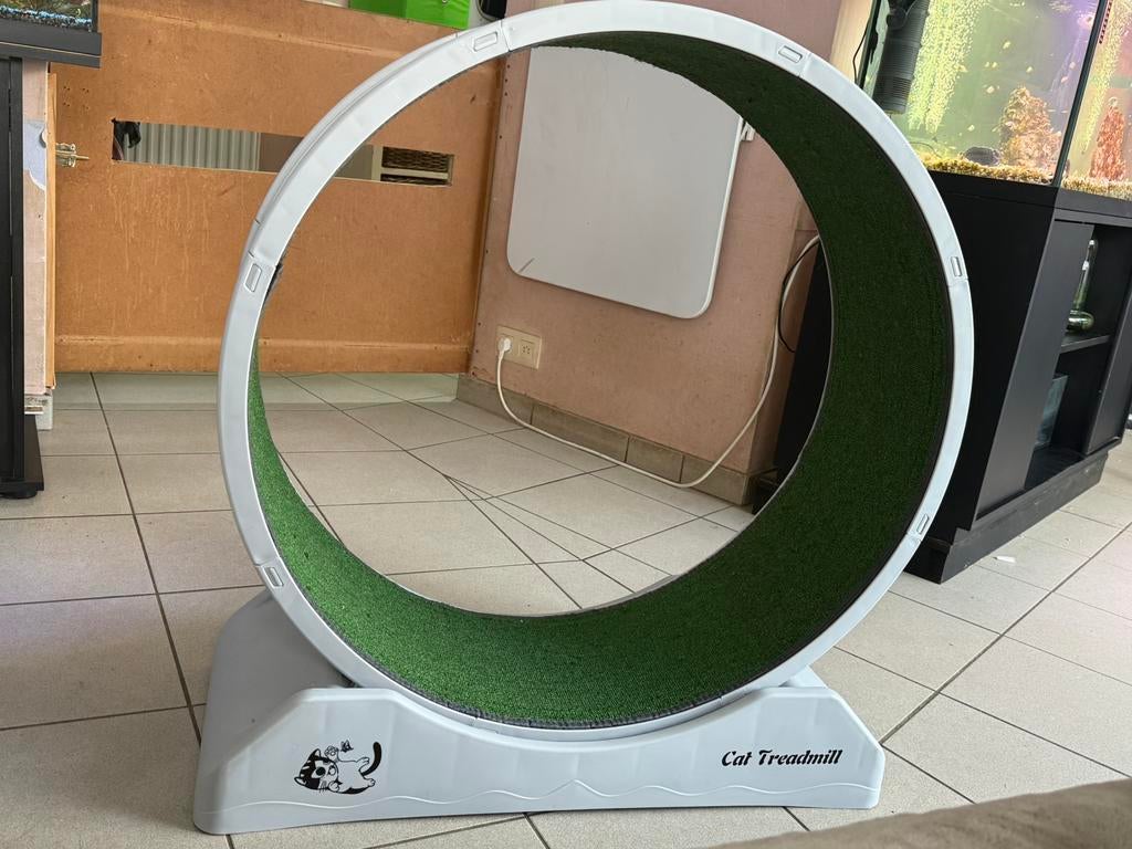 Tapis de course Cat Loop Wheel pour chats, Animaux & Accessoires, Enlèvement, Comme neuf