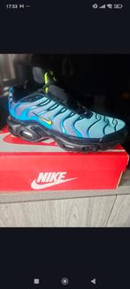 Basket Nike homme, Enlèvement