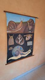 Oude schoolplaat 'De wijngaardslak', Antiek en Kunst, Ophalen of Verzenden