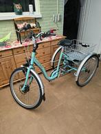 Electrische driewieler Tri-bike, Fietsen en Brommers, Ophalen, Zo goed als nieuw