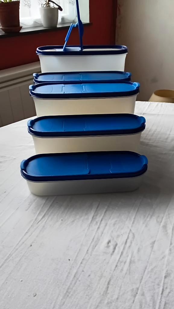 Tupperware-containers voor droogvoer, Huis en Inrichting, Keuken | Tupperware, Zo goed als nieuw, Bus of Trommel, Blauw, Wit, Ophalen of Verzenden