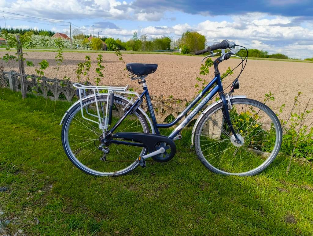 Damesfiets Minerva, Fietsen en Brommers, Fietsen | Dames | Damesfietsen, Gebruikt, Overige merken, Versnellingen, Ophalen