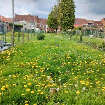 Huis te koop in Kortrijk/Marke beschikbaar voor biedingen