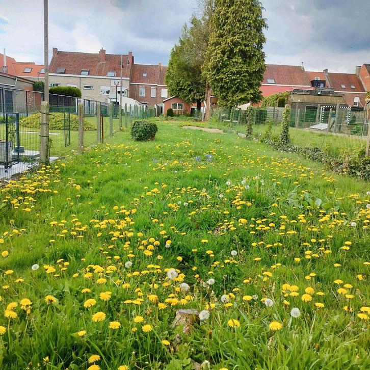 Huis te koop in Kortrijk-Marke VERLAAGDE PRIJS!, Immo, Huizen en Appartementen te koop