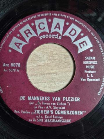 Singel Fanfare Zichem's Demerzonen, Enlèvement ou Envoi