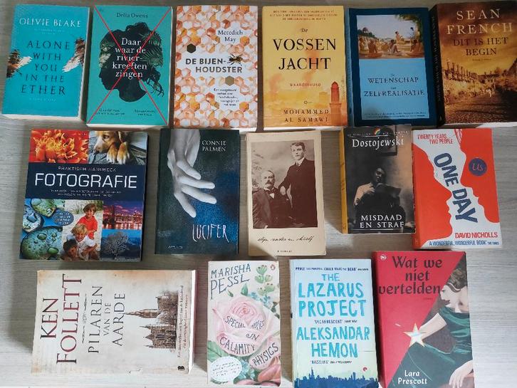 Allerlei Boeken, Boeken, Romans, Zo goed als nieuw, Wereld overig, Ophalen of Verzenden