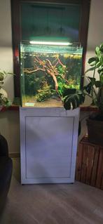 Nieuw Aqualife aquarium met of zonder hout en techniek, Dieren en Toebehoren, Vissen | Aquaria en Toebehoren, Ophalen, Nieuw, Gevuld zoetwateraquarium
