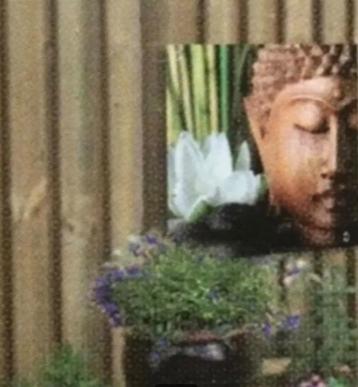 Nieuw fotodoek voor tuin 60x60cm boedha hoofd en lotusbloem