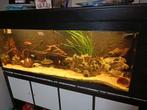 Aquarium 1m50 met alles in!!, Dieren en Toebehoren, Ophalen, Zo goed als nieuw