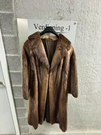 Echte pelsjas Wasbeer 42-44, Kleding | Dames, Ophalen, Zo goed als nieuw