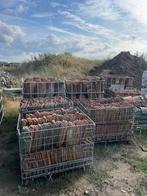 Oude boomse pannen, Doe-het-zelf en Bouw, Ophalen, Gebruikt, Steen of Klei, Dakpannen