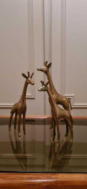 SET VAN 3 VINTAGE MESSING GIRAFFEN beschikbaar voor biedingen