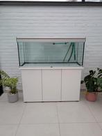 Juwel aquarium 240 liter met eheim filter en toebehoren, Ophalen, Zo goed als nieuw