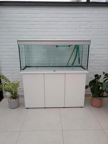 Juwel aquarium 240 liter met eheim filter en toebehoren beschikbaar voor biedingen