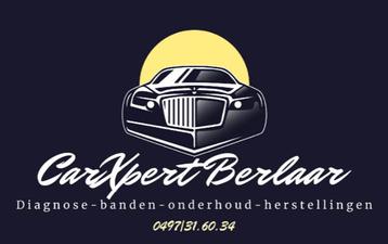 Diagnosespecialisatie - specialisatie Jaguar/Land Rover beschikbaar voor biedingen