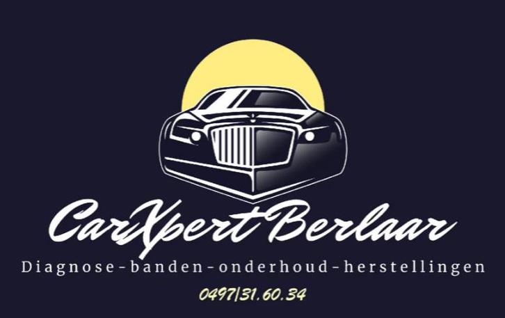 Diagnosespecialisatie - specialisatie Jaguar/Land Rover, Diensten en Vakmensen, Auto en Motor | Monteurs en Garages, Bandenservice