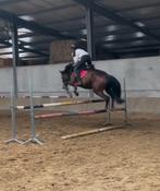 Knappe allround merrie, Dieren en Toebehoren, Paarden, Merrie, Springpaard, Minder dan 160 cm, Gechipt