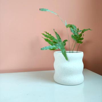 Pot de fleurs blanc avec structure grainée (nouveau)