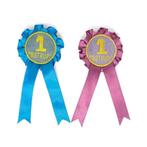 Rozetten voor Hobby Horses - Set van 2, Kinderen en Baby's, Speelgoed | Buiten | Actiespeelgoed, Ophalen of Verzenden, Nieuw