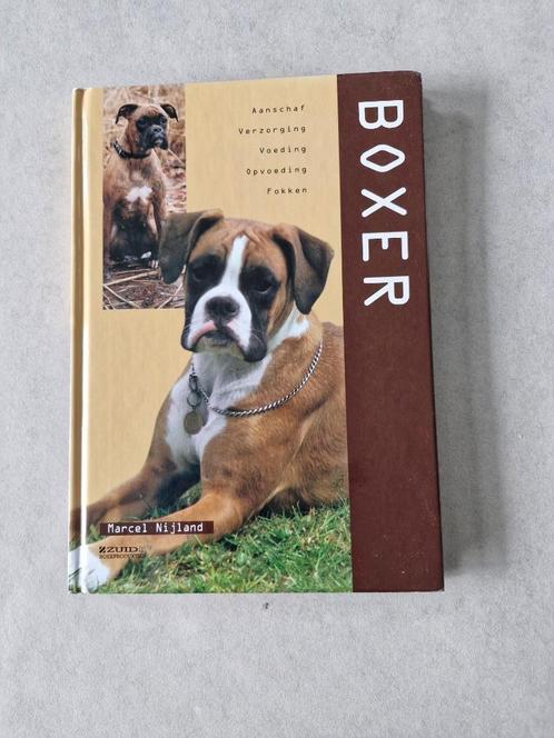 Boxer - Marcel Nijland, Livres, Animaux & Animaux domestiques, Chiens, Enlèvement ou Envoi