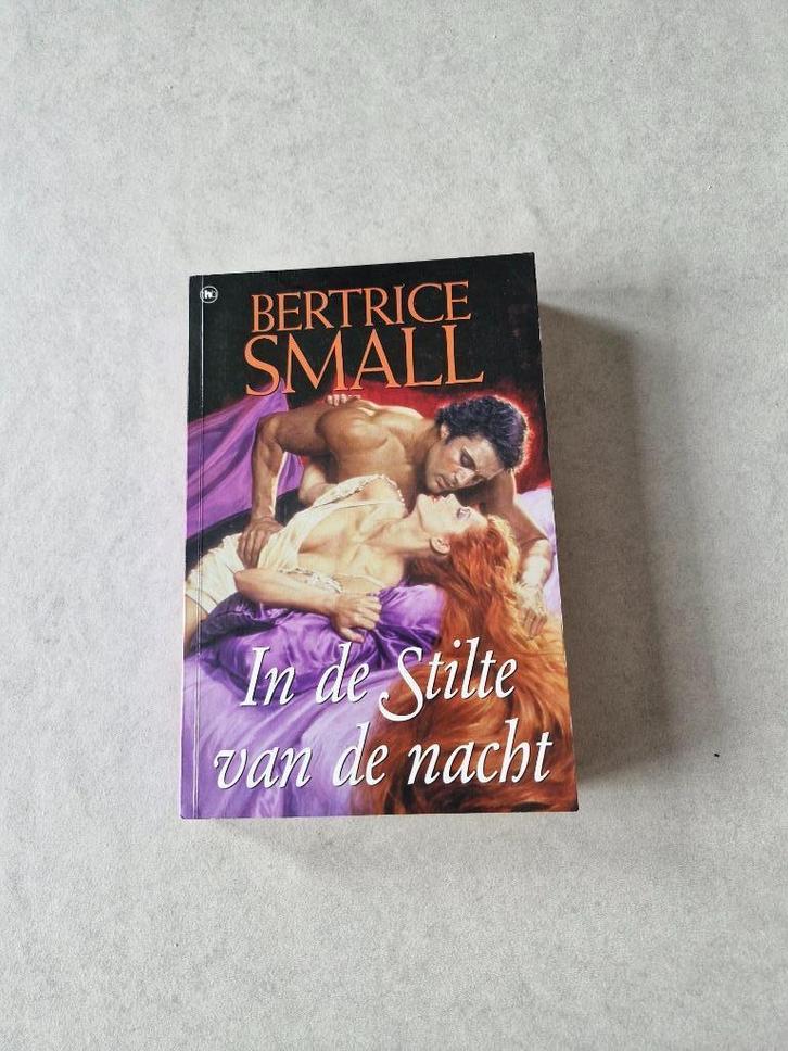 In de stilte van de nacht - Bertrice Small, Boeken, Romans, Gelezen, Amerika, Ophalen of Verzenden